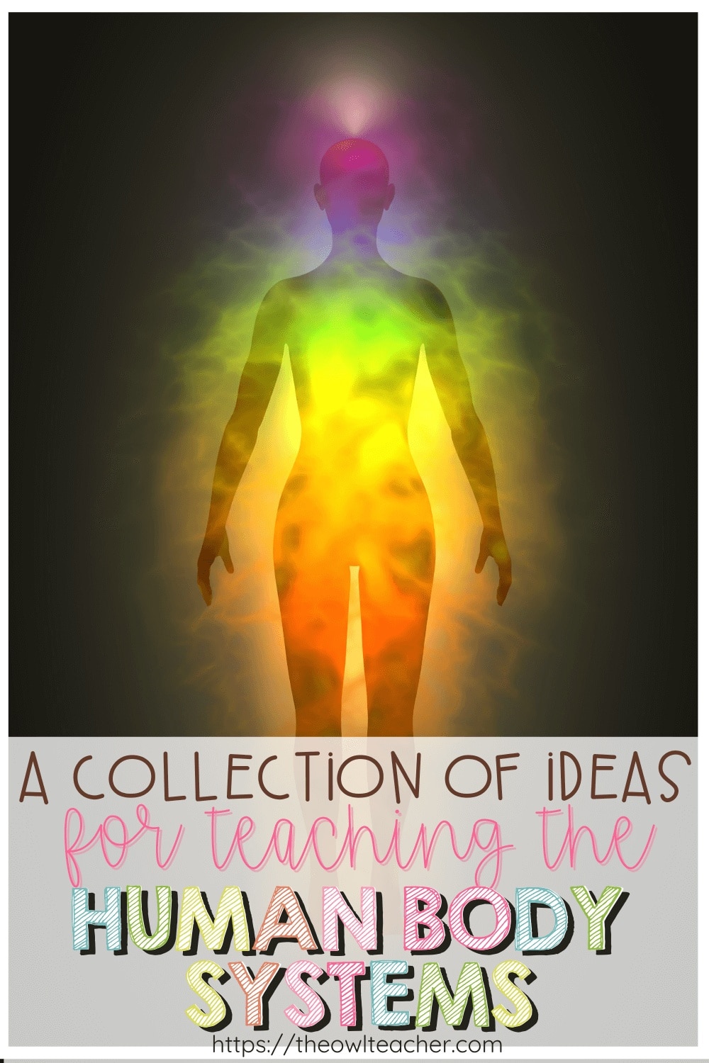 A Assortment of Concepts for Instructing the Human Physique Techniques