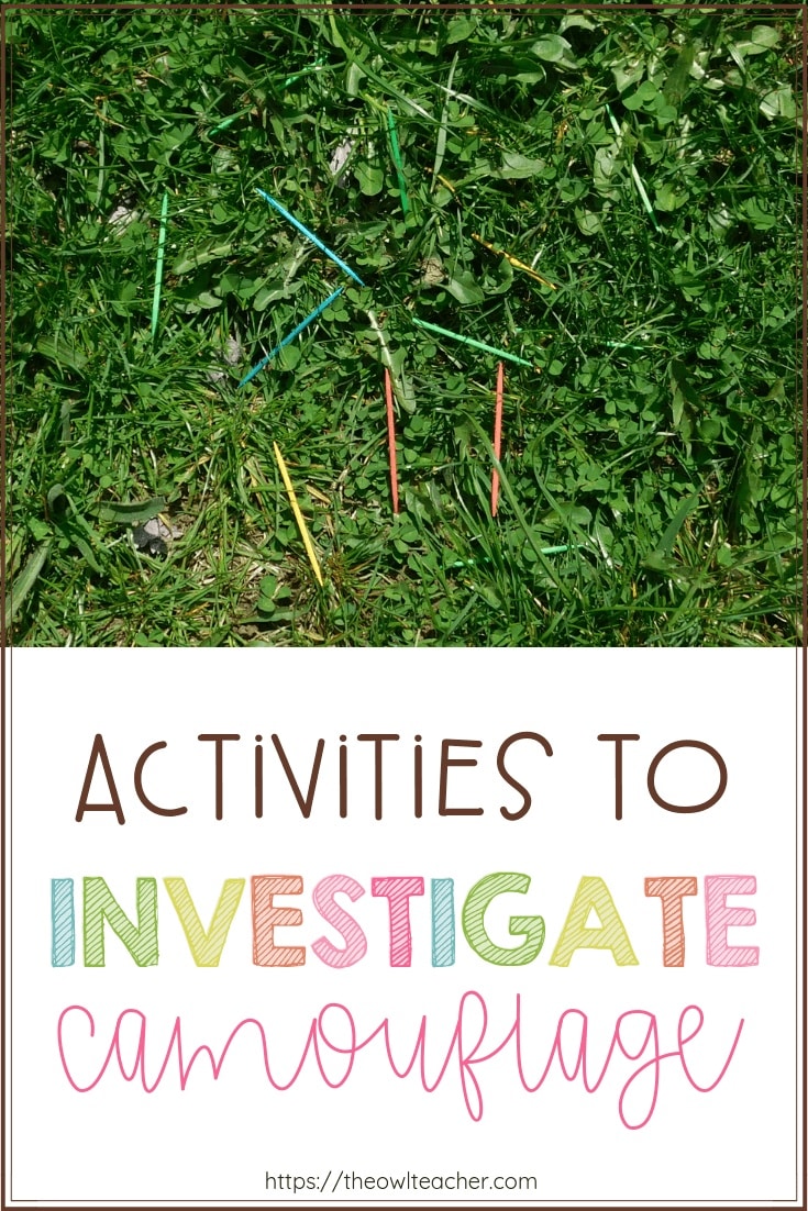 Actions to Examine Camouflage