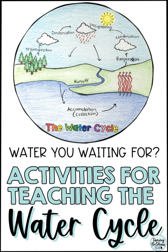 Water You Ready for? Test Out These Water Cycle Actions!